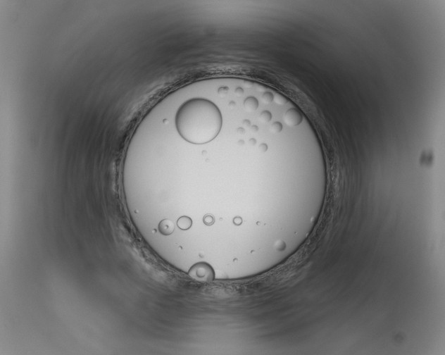 X0000112960729200908270919