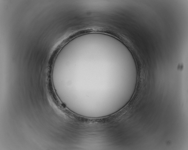 X0000112960730200908270919