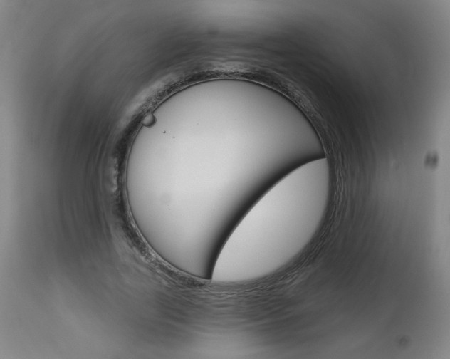 X0000112960731200908270919