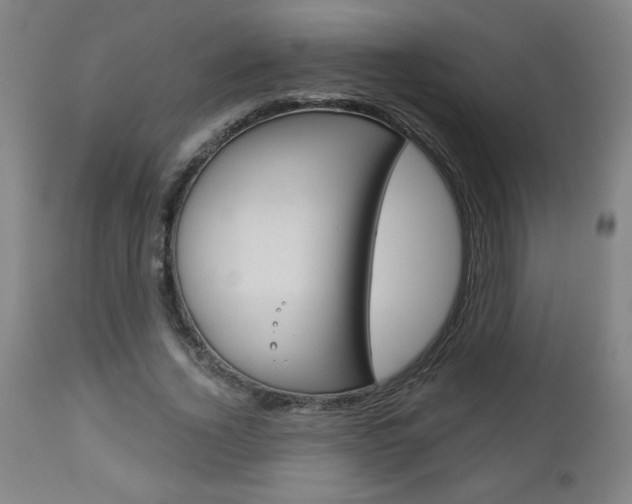 X0000112960732200908270919