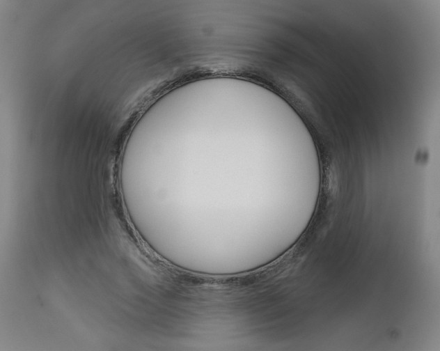 X0000112960733200908270919