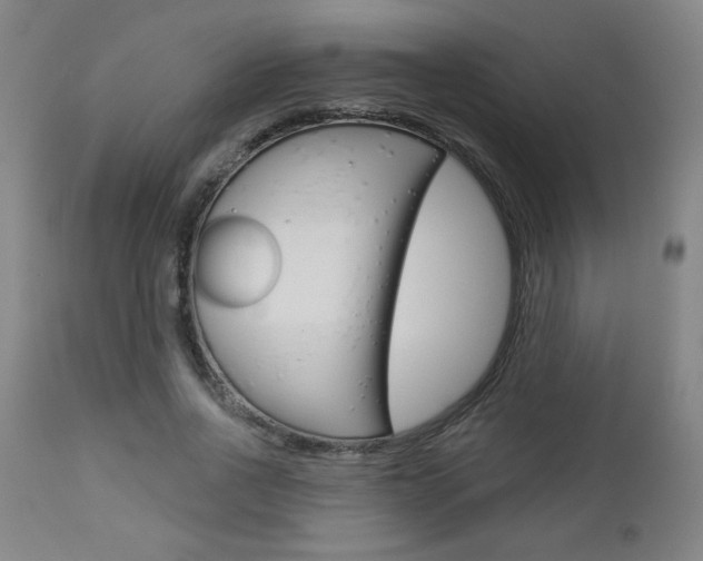 X0000112960734200908270919
