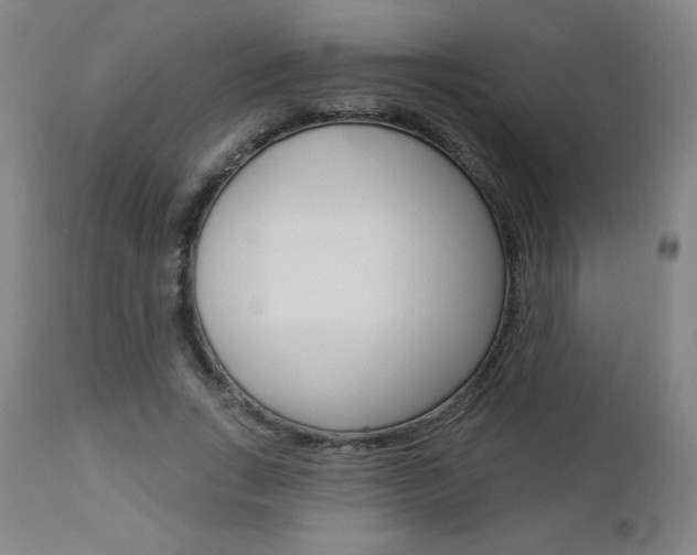 X0000112960735200908270919