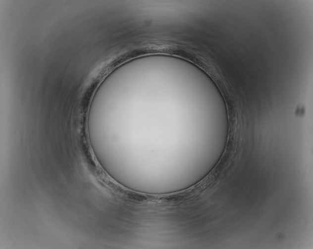 X0000112960736200908270919