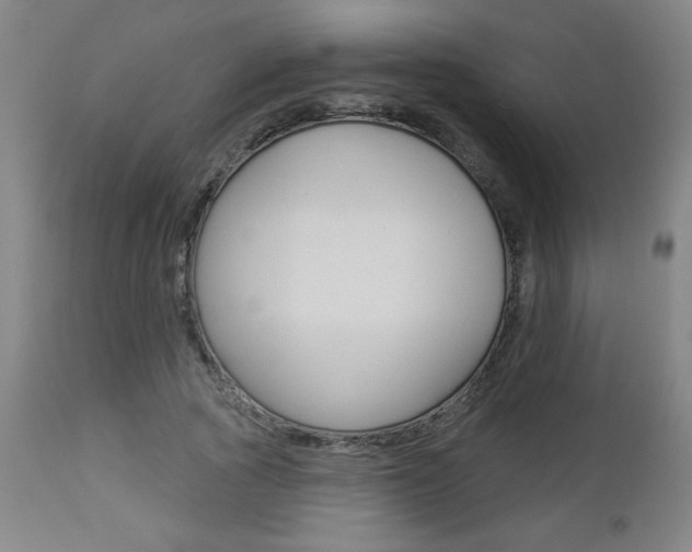 X0000112960737200908270919