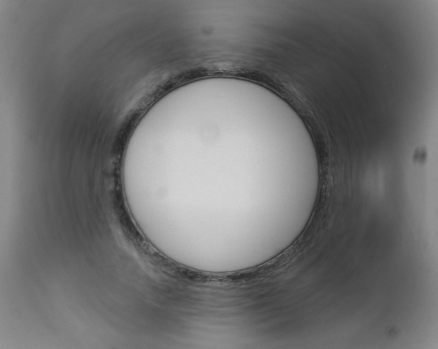 X0000112960738200908270919