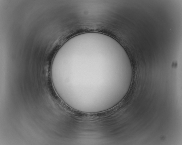 X0000112960739200908270919