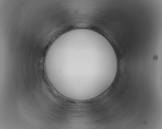 X0000112960741200908270919