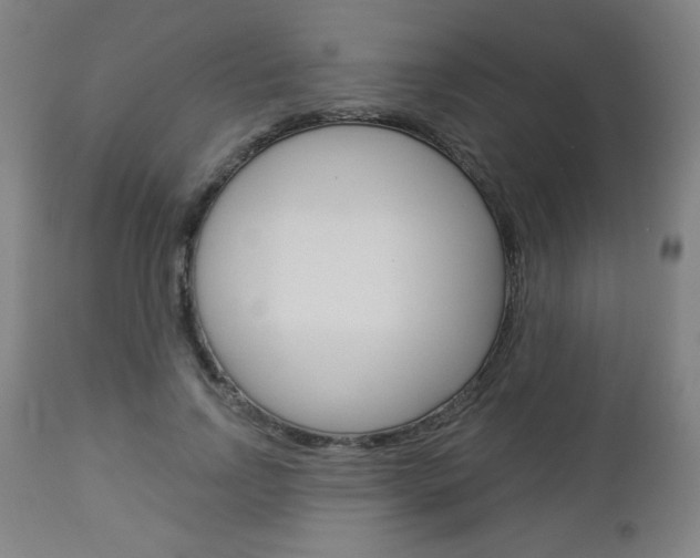X0000112960742200908270919