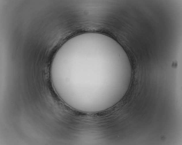 X0000112960743200908270919