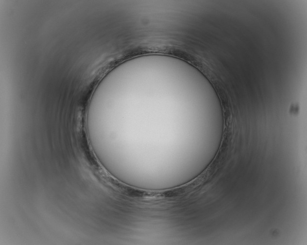 X0000112960744200908270919