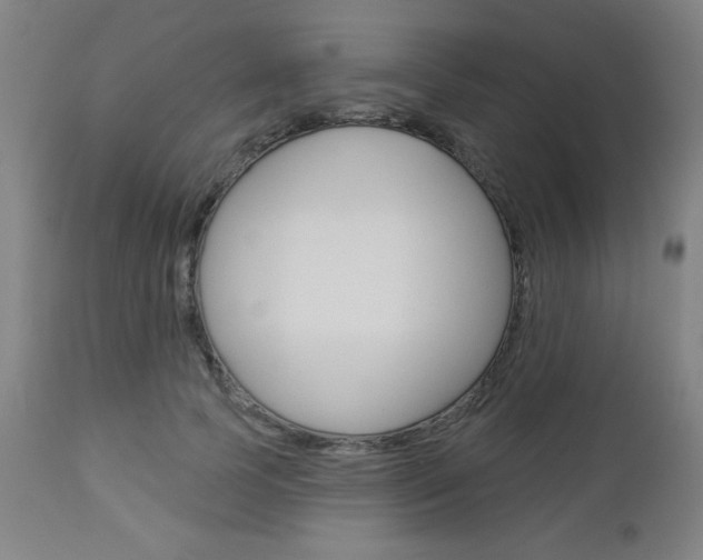 X0000112960745200908270919