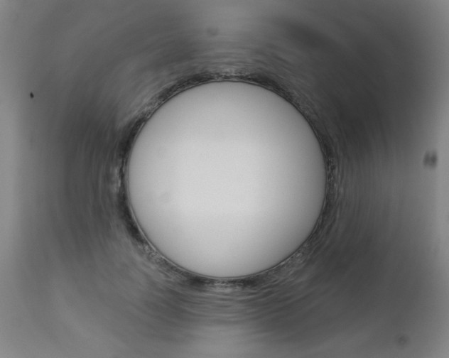 X0000112960746200908270919
