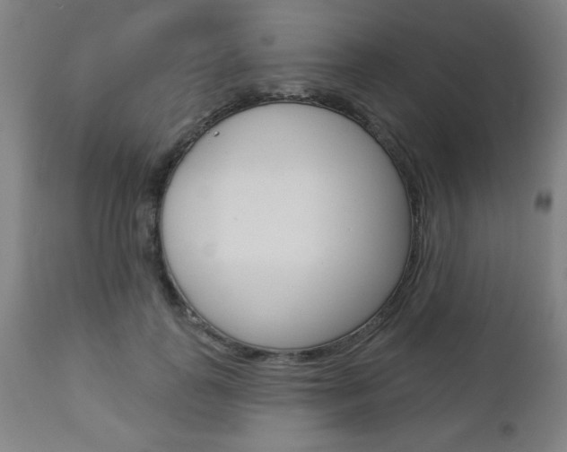 X0000112960747200908270919