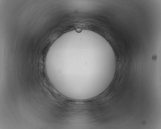 X0000112960749200908270919