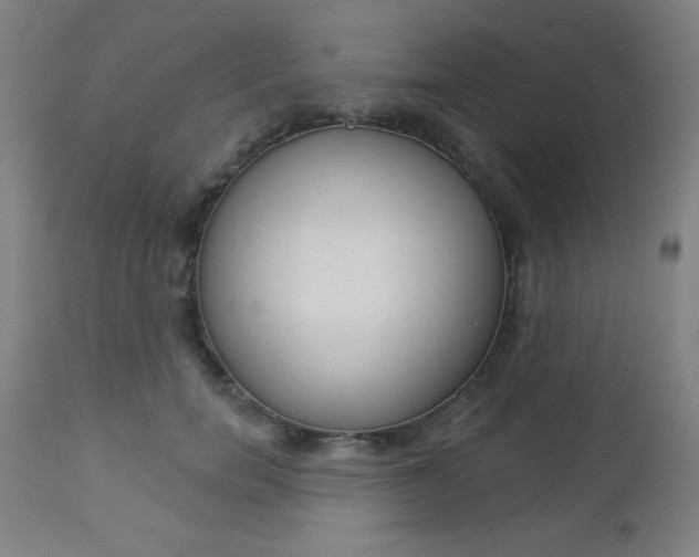 X0000112960750200908270919