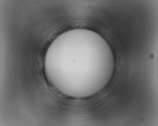 X0000112960751200908270919