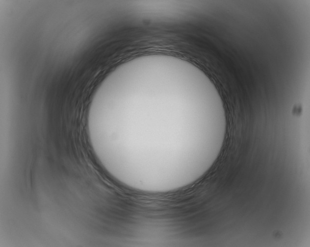 X0000112960752200908270919