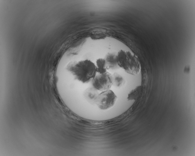 X0000112960753200908270919
