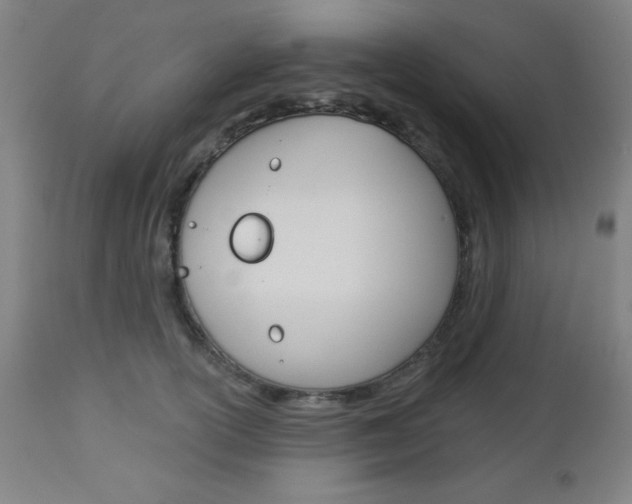 X0000112960754200908270919