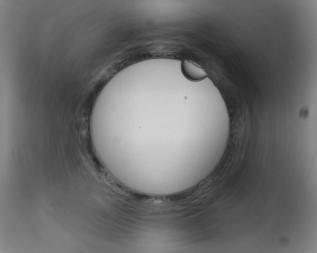 X0000112960755200908270919