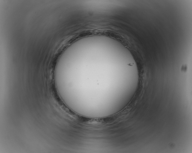 X0000112960756200908270919