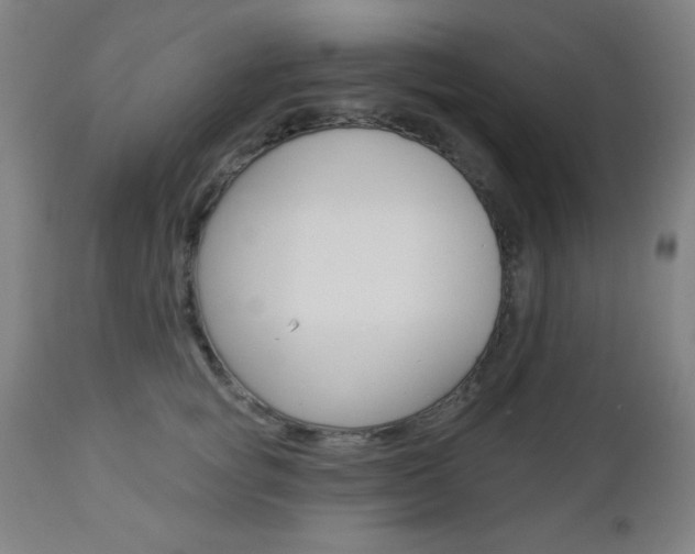 X0000112960757200908270919