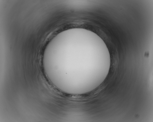 X0000112960758200908270919