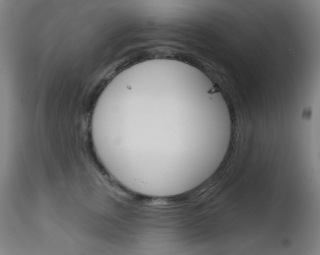 X0000112960759200908270919