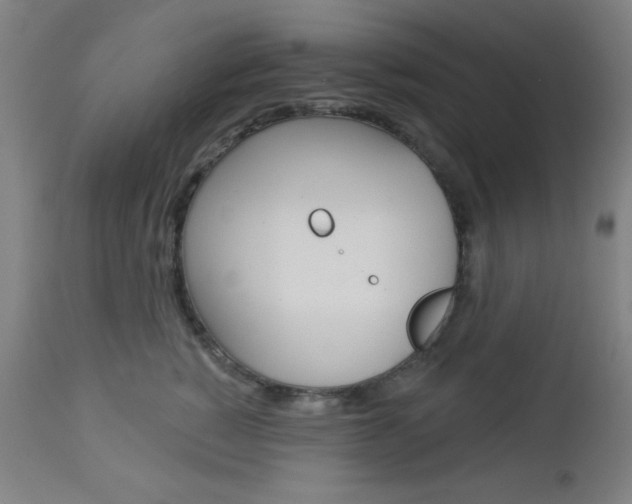 X0000112960760200908270919