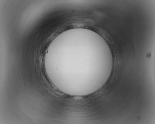 X0000112960761200908270919