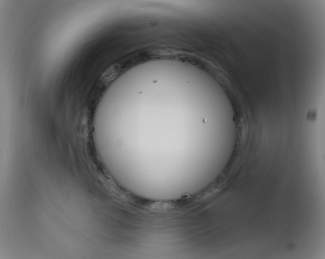 X0000112960762200908270919