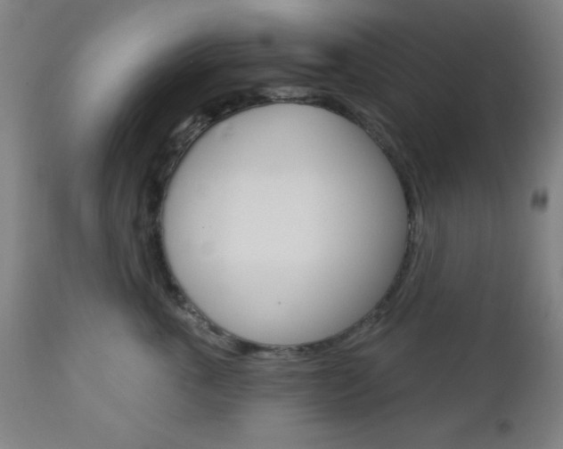 X0000112960763200908270919