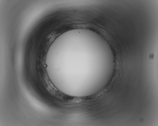 X0000112960764200908270919