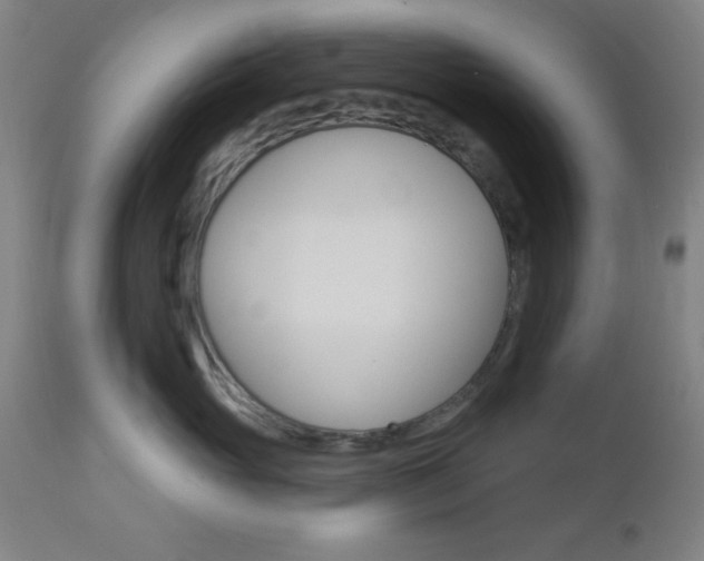 X0000112960765200908270919
