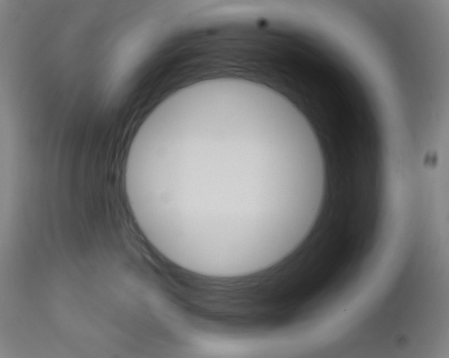 X0000112960766200908270919