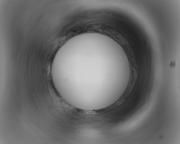X0000112960767200908270919