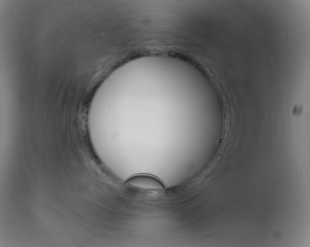 X0000112960768200908270919