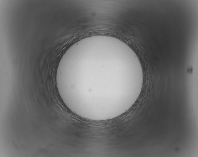 X0000112960769200908270919