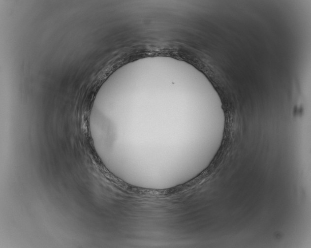 X0000112960770200908270919