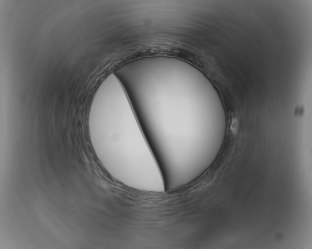 X0000112960771200908270919