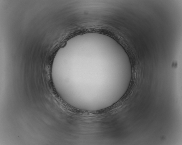 X0000112960772200908270919
