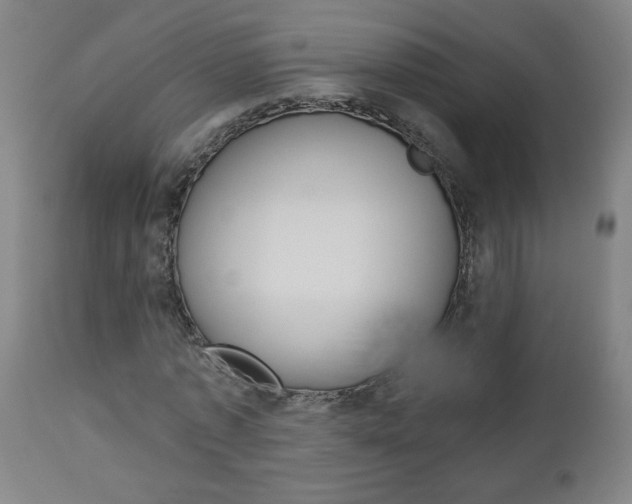 X0000112960773200908270919