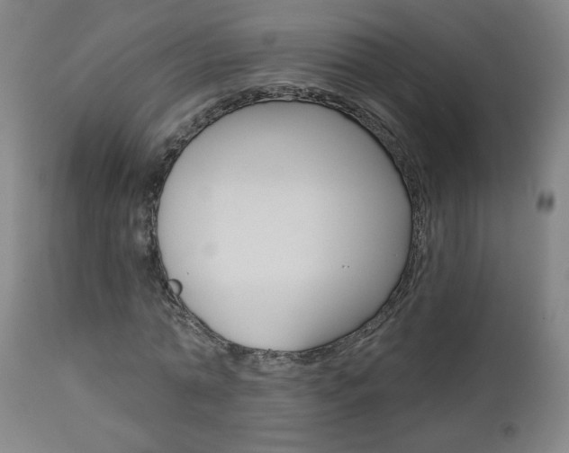 X0000112960774200908270918