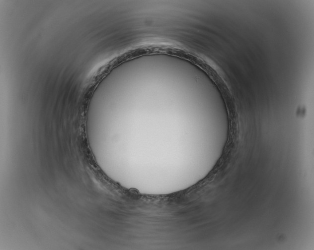 X0000112960775200908270918