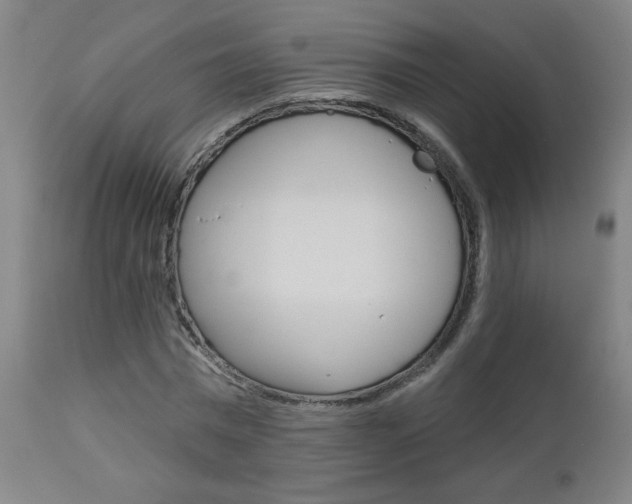 X0000112960777200908270918