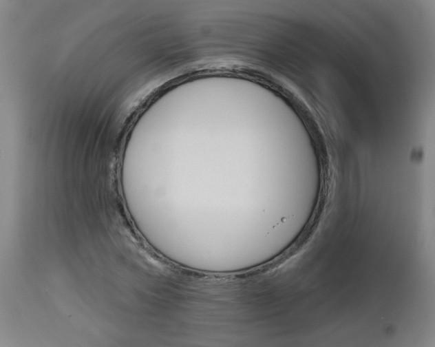 X0000112960778200908270918