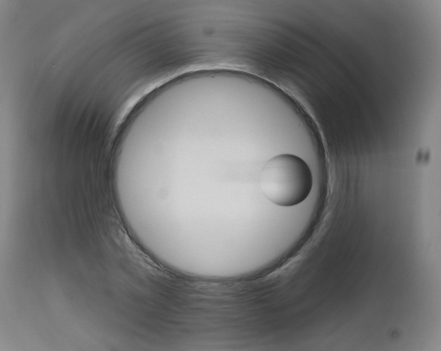 X0000112960781200908270918