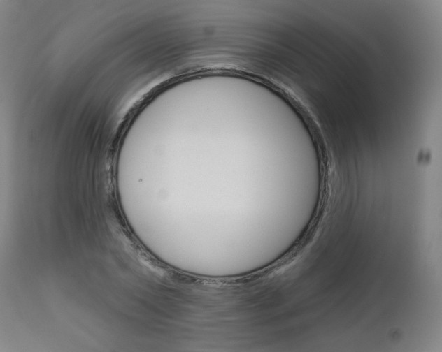 X0000112960782200908270918