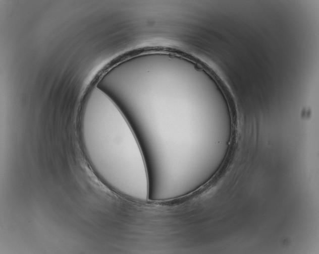 X0000112960783200908270918